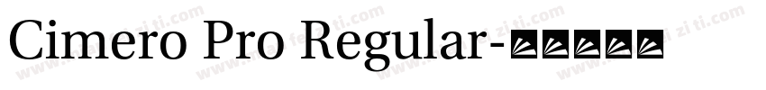 Cimero Pro Regular字体转换